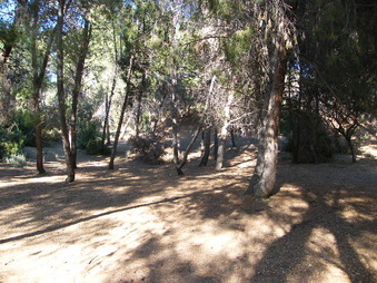 Enlarge photo 3