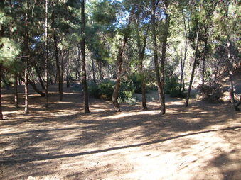 Enlarge photo 14