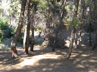 Enlarge photo 12