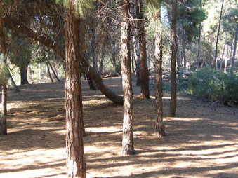 Enlarge photo 11