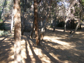 Enlarge photo 5