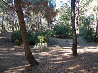 Enlarge photo 7