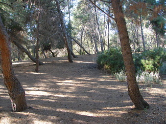 Enlarge photo 8