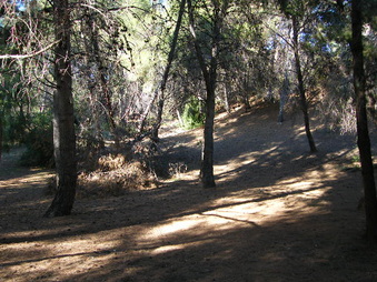Enlarge photo 27