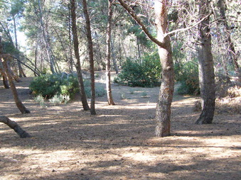Enlarge photo 24