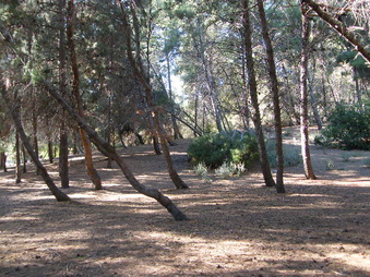 Enlarge photo 4