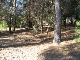 Enlarge photo 2