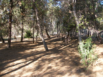 Enlarge photo 9