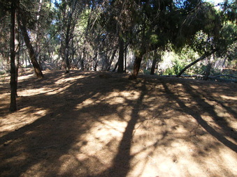 Enlarge photo 15