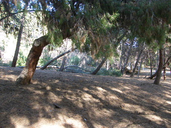 Enlarge photo 16