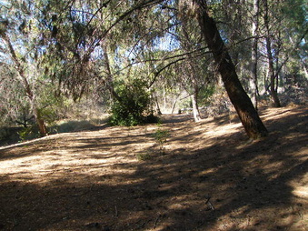 Enlarge photo 13