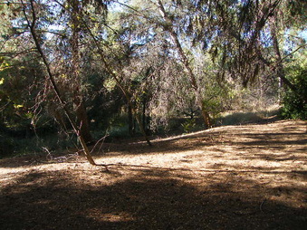 Enlarge photo 10