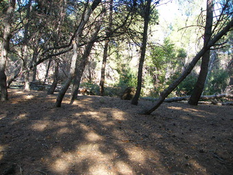 Enlarge photo 18