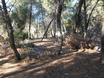 Enlarge photo 19