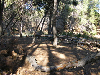 Enlarge photo 23