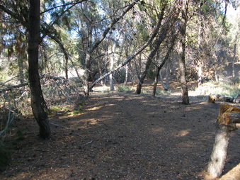 Enlarge photo 22