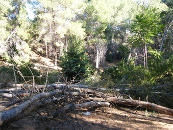 Enlarge photo 25