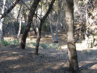 Enlarge photo 26