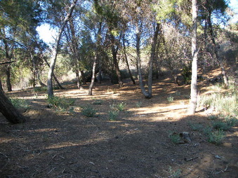 Enlarge photo 20