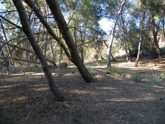 Enlarge photo 21