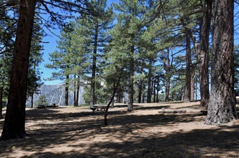 Jackson Flat Campground ANF