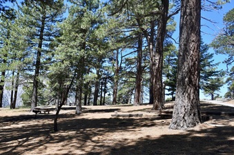 Enlarge photo 3