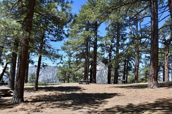 Enlarge photo 6