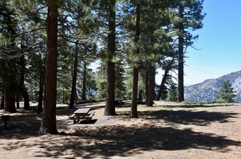Enlarge photo 11