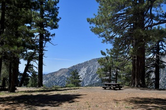 Enlarge photo 12