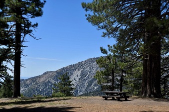 Enlarge photo 13