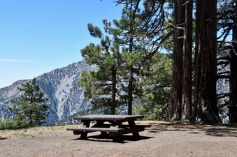 Enlarge photo 16