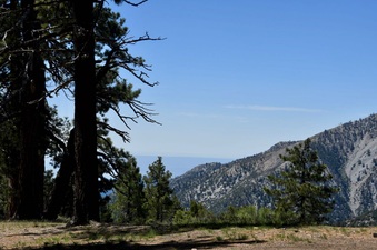 Enlarge photo 18