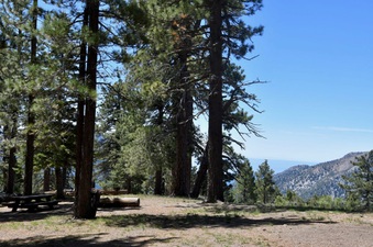 Enlarge photo 19
