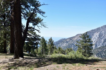 Enlarge photo 23