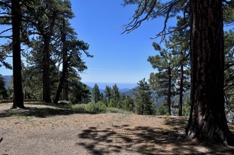 Enlarge photo 24