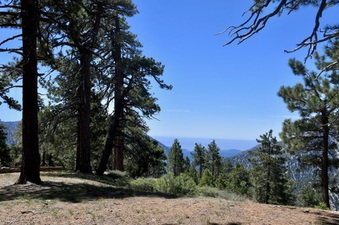 Enlarge photo 25