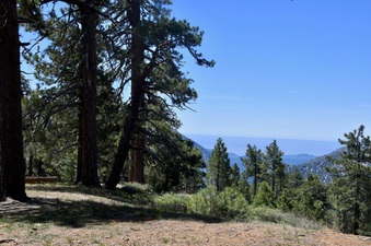 Enlarge photo 26