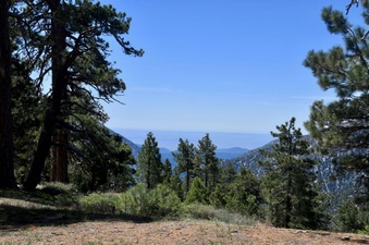 Enlarge photo 27