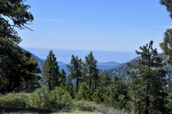 Enlarge photo 28