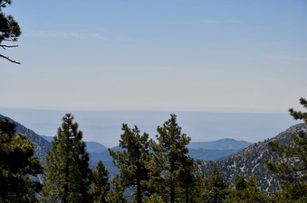 Enlarge photo 29