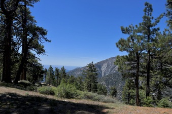 Enlarge photo 30