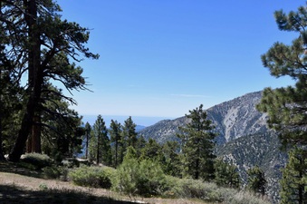Enlarge photo 31