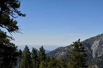 Enlarge photo 32