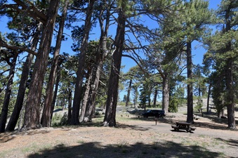 Enlarge photo 33
