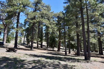 Enlarge photo 34