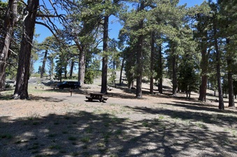 Enlarge photo 35