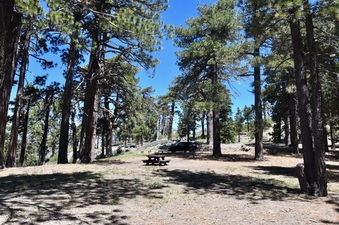 Enlarge photo 36