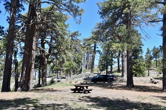 Enlarge photo 37
