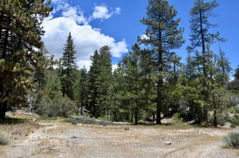 Enlarge photo 19