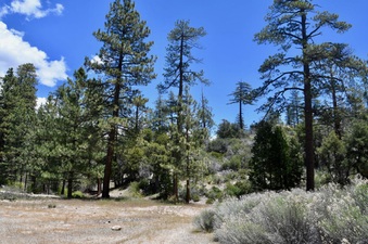 Enlarge photo 7